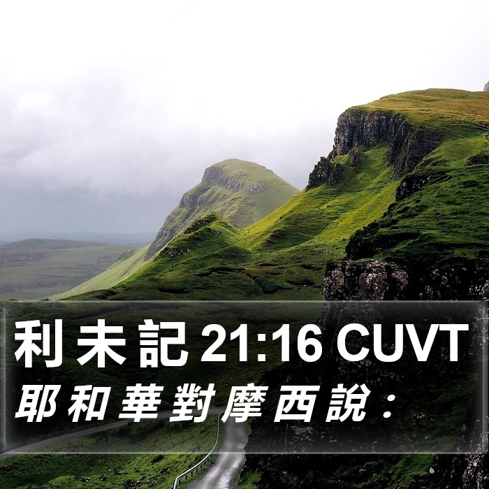 利 未 記 21:16 CUVT Bible Study
