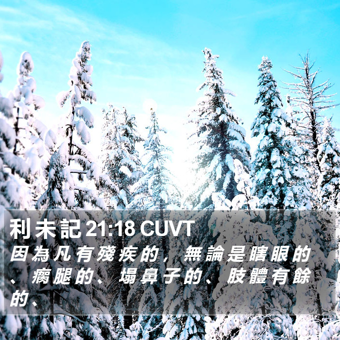 利 未 記 21:18 CUVT Bible Study