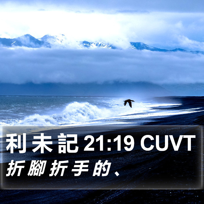 利 未 記 21:19 CUVT Bible Study