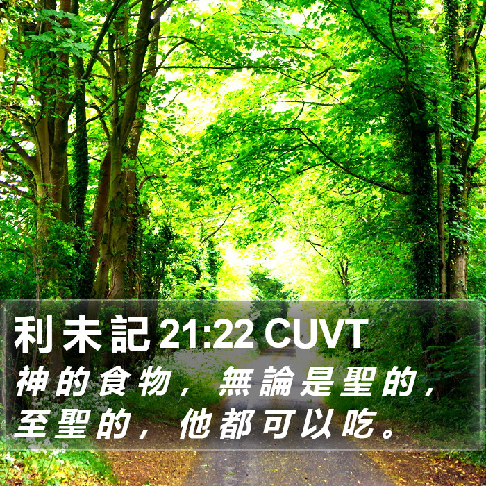 利 未 記 21:22 CUVT Bible Study