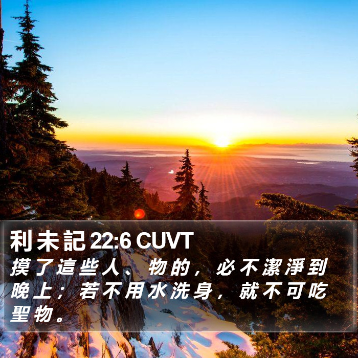 利 未 記 22:6 CUVT Bible Study