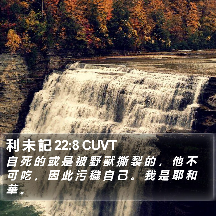 利 未 記 22:8 CUVT Bible Study