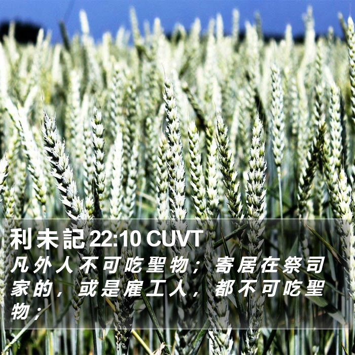 利 未 記 22:10 CUVT Bible Study
