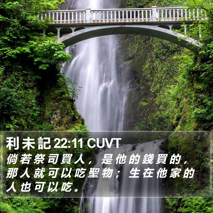 利 未 記 22:11 CUVT Bible Study