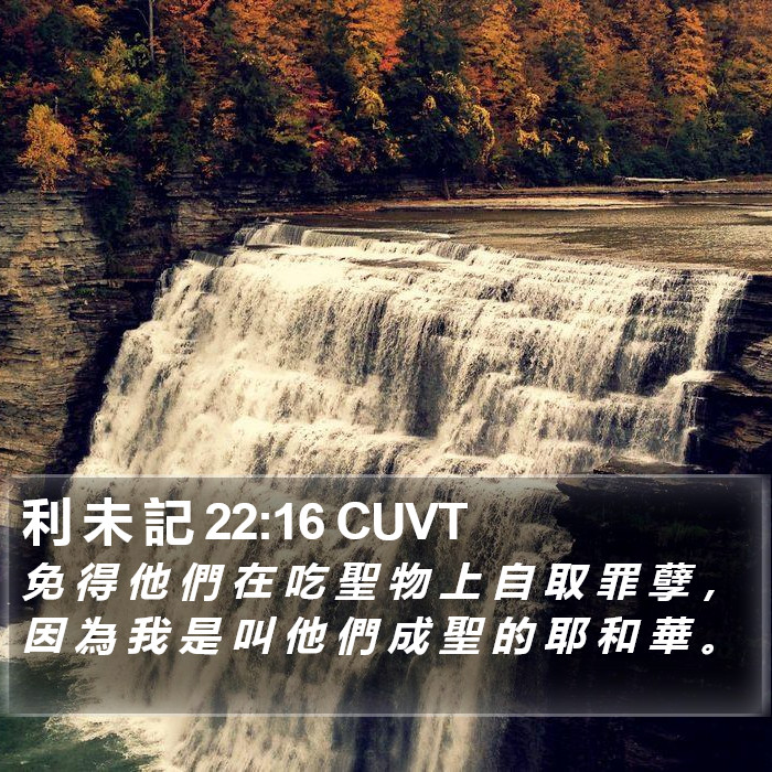 利 未 記 22:16 CUVT Bible Study