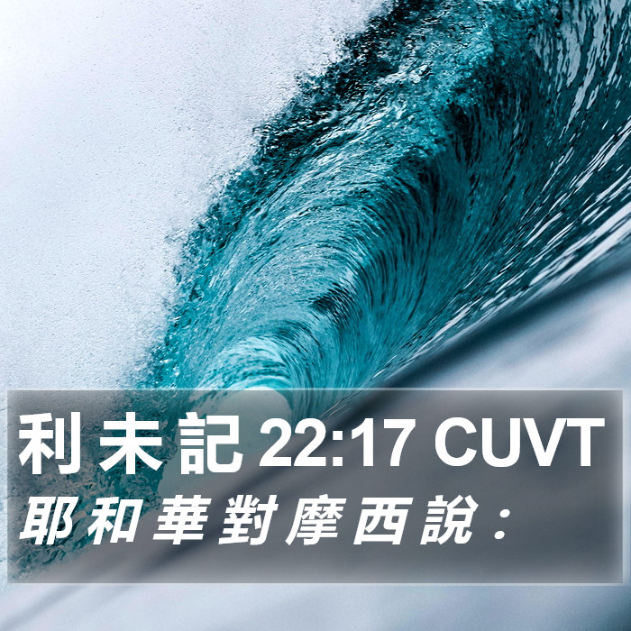 利 未 記 22:17 CUVT Bible Study