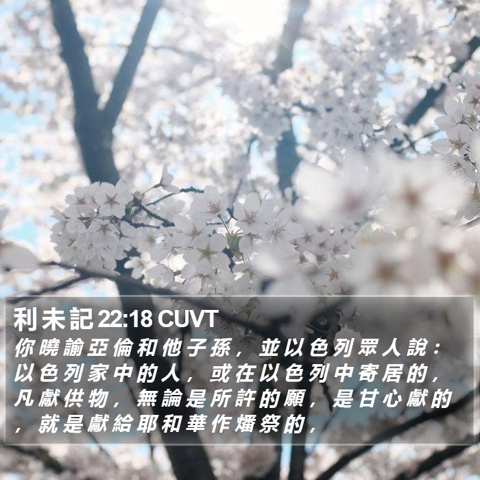 利 未 記 22:18 CUVT Bible Study