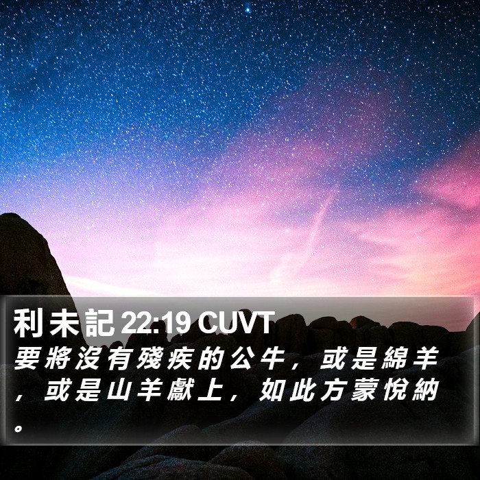 利 未 記 22:19 CUVT Bible Study