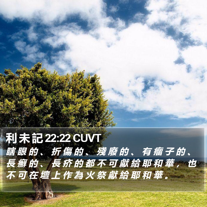 利 未 記 22:22 CUVT Bible Study