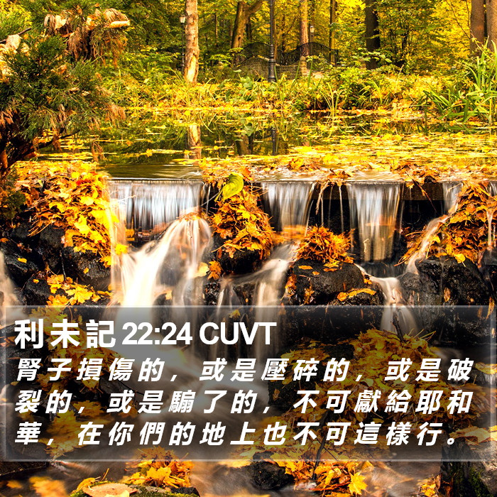 利 未 記 22:24 CUVT Bible Study