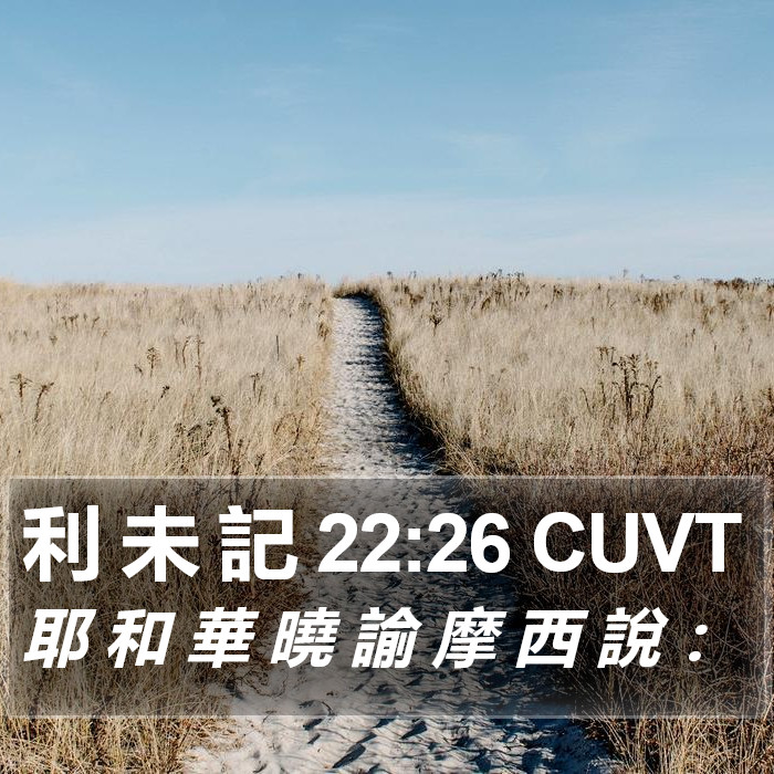 利 未 記 22:26 CUVT Bible Study