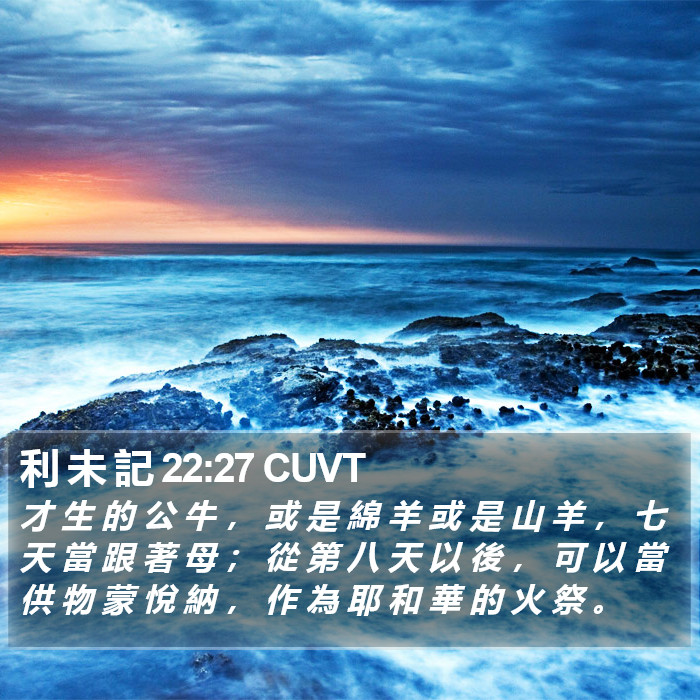 利 未 記 22:27 CUVT Bible Study