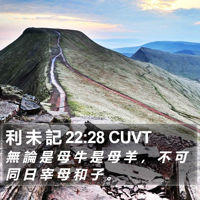 利 未 記 22:28 CUVT Bible Study