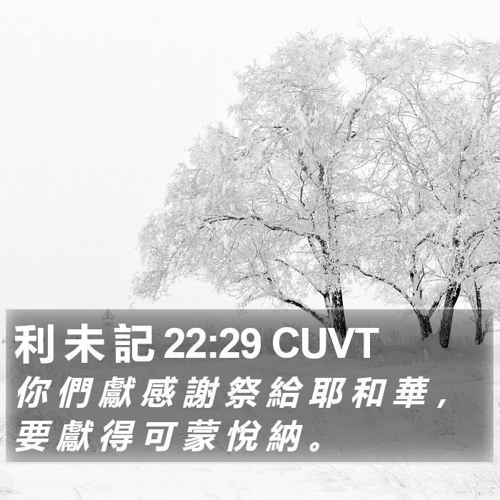 利 未 記 22:29 CUVT Bible Study