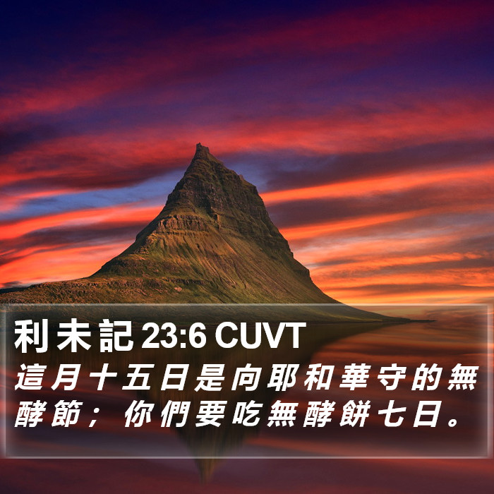 利 未 記 23:6 CUVT Bible Study