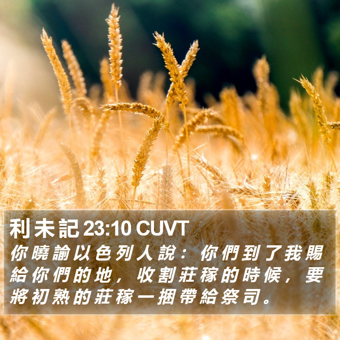 利 未 記 23:10 CUVT Bible Study