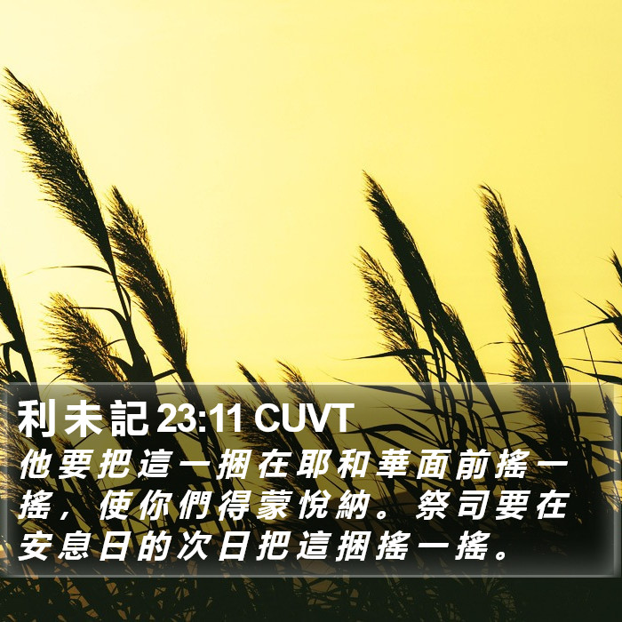 利 未 記 23:11 CUVT Bible Study