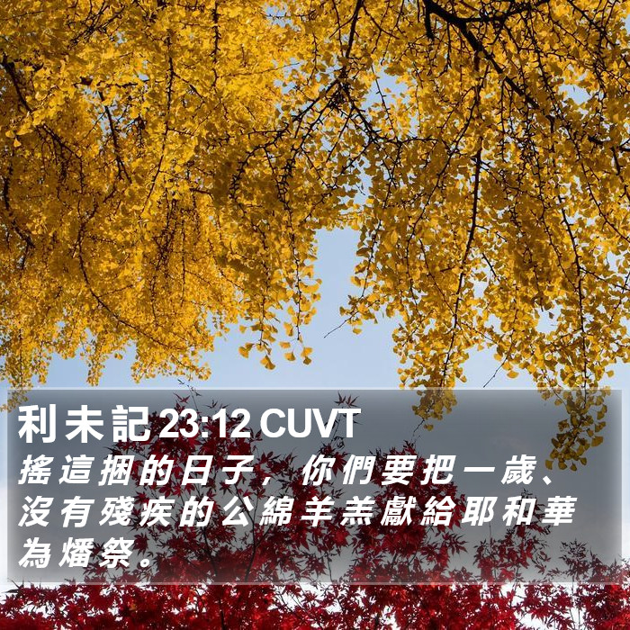 利 未 記 23:12 CUVT Bible Study