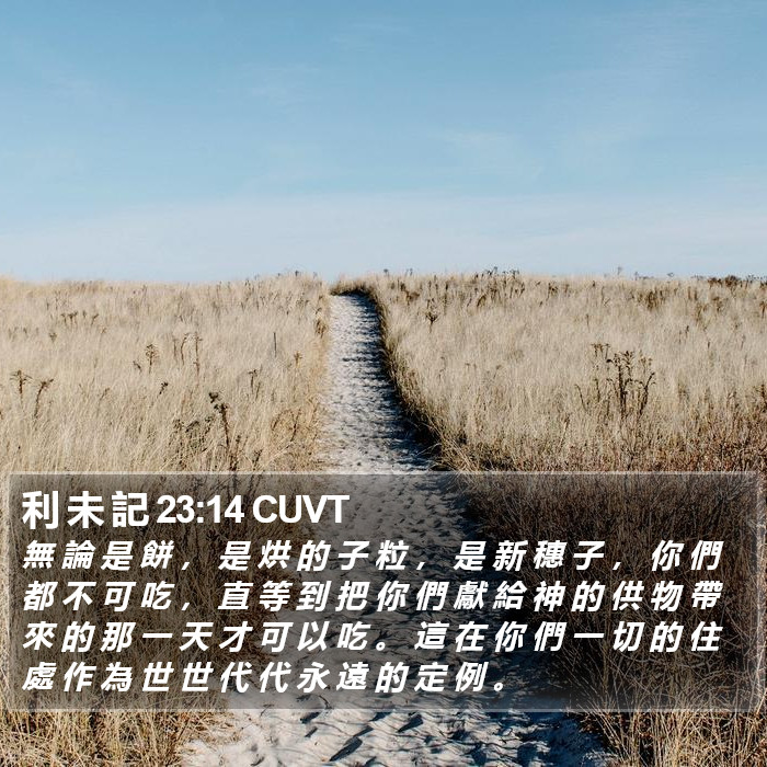 利 未 記 23:14 CUVT Bible Study