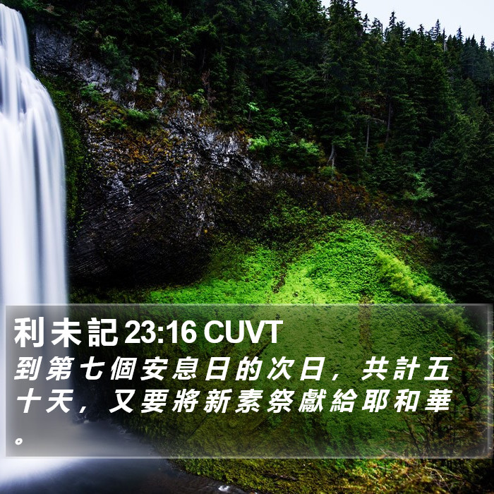 利 未 記 23:16 CUVT Bible Study