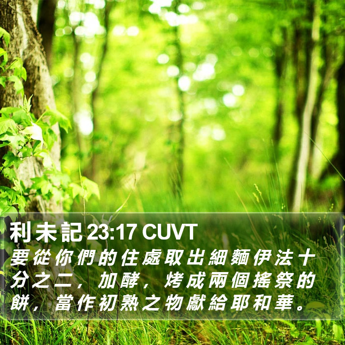 利 未 記 23:17 CUVT Bible Study