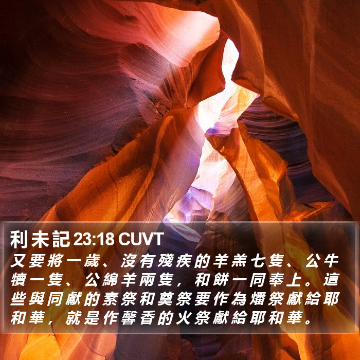 利 未 記 23:18 CUVT Bible Study