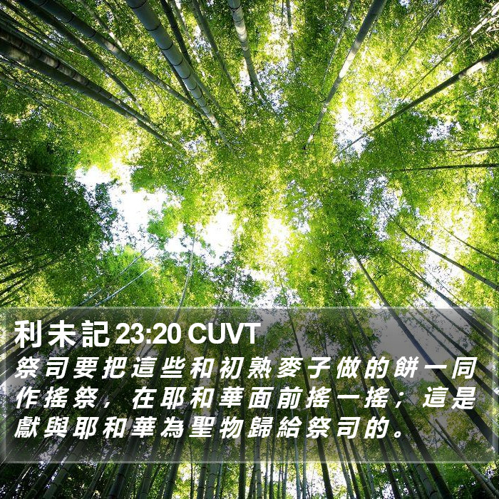 利 未 記 23:20 CUVT Bible Study