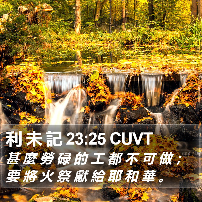 利 未 記 23:25 CUVT Bible Study