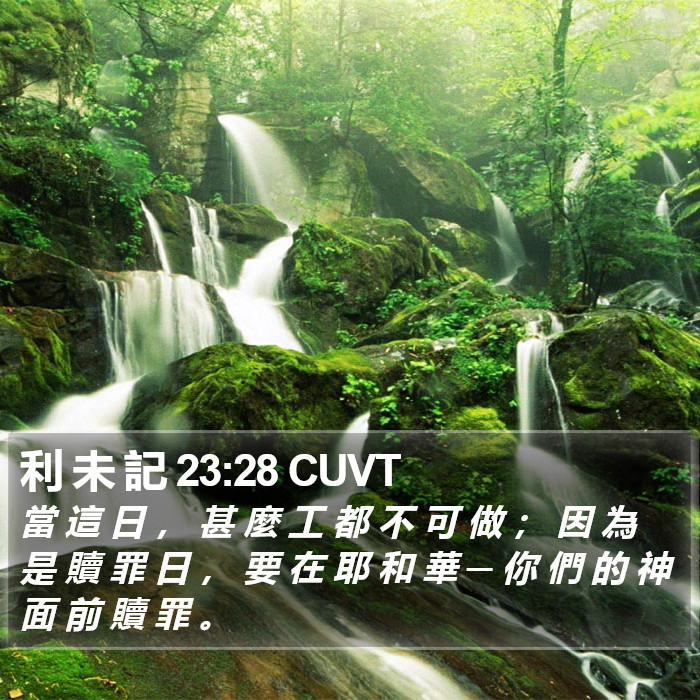 利 未 記 23:28 CUVT Bible Study