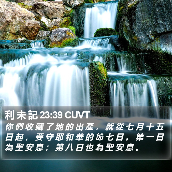 利 未 記 23:39 CUVT Bible Study