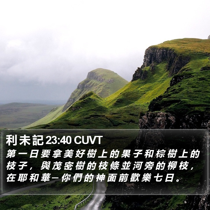 利 未 記 23:40 CUVT Bible Study