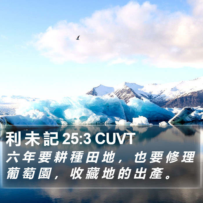 利 未 記 25:3 CUVT Bible Study