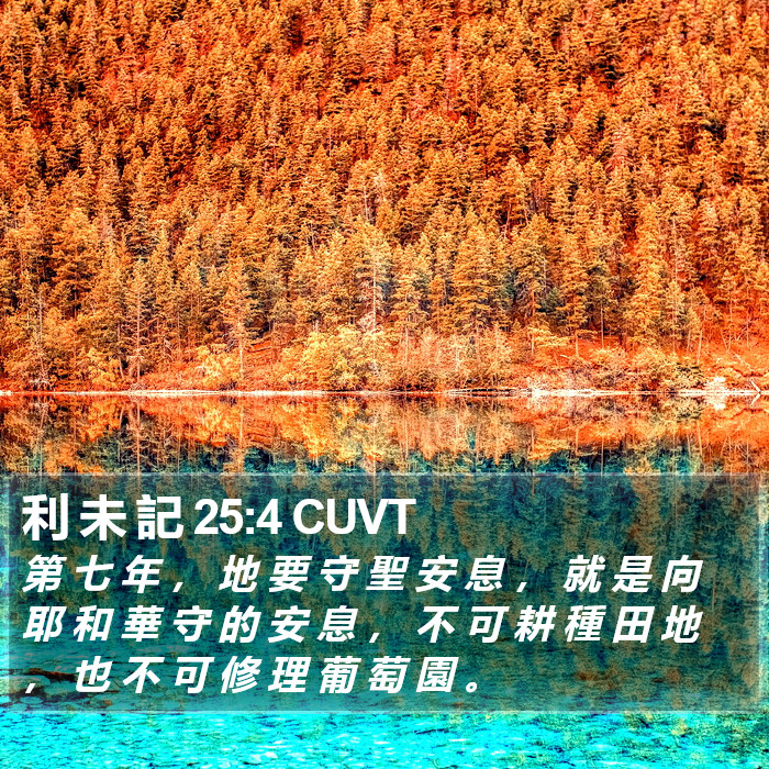 利 未 記 25:4 CUVT Bible Study