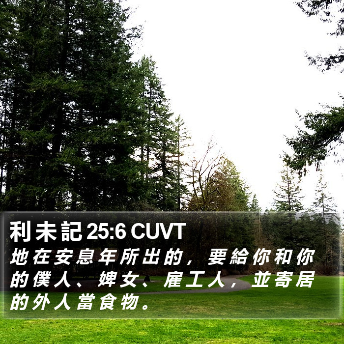 利 未 記 25:6 CUVT Bible Study