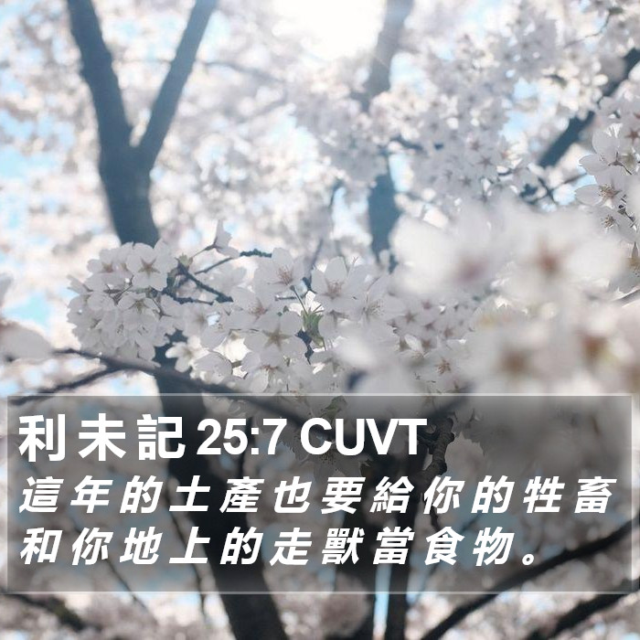 利 未 記 25:7 CUVT Bible Study
