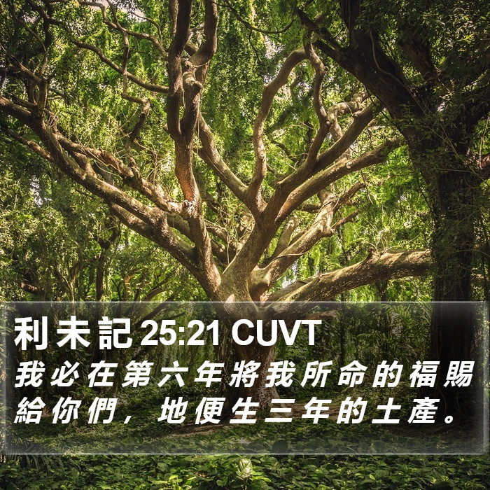 利 未 記 25:21 CUVT Bible Study