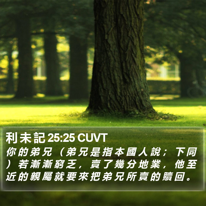 利 未 記 25:25 CUVT Bible Study
