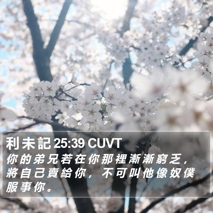 利 未 記 25:39 CUVT Bible Study
