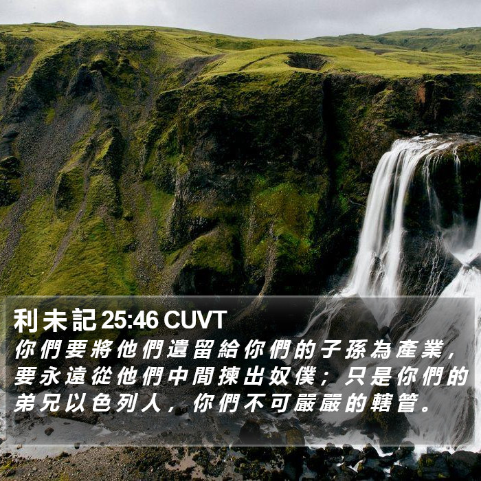 利 未 記 25:46 CUVT Bible Study