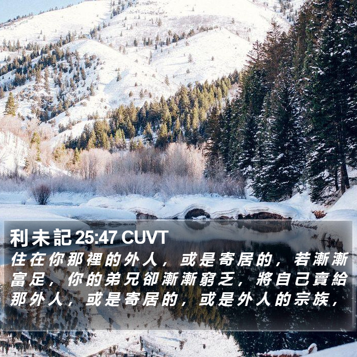 利 未 記 25:47 CUVT Bible Study