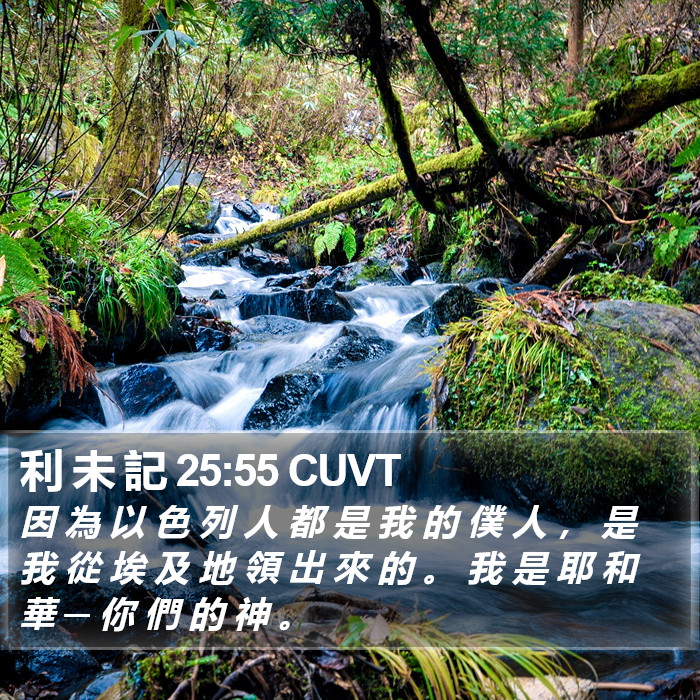利 未 記 25:55 CUVT Bible Study