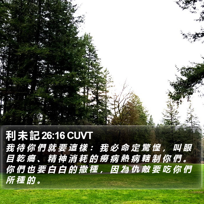 利 未 記 26:16 CUVT Bible Study