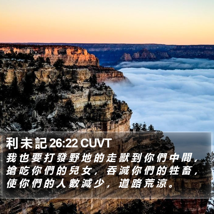 利 未 記 26:22 CUVT Bible Study