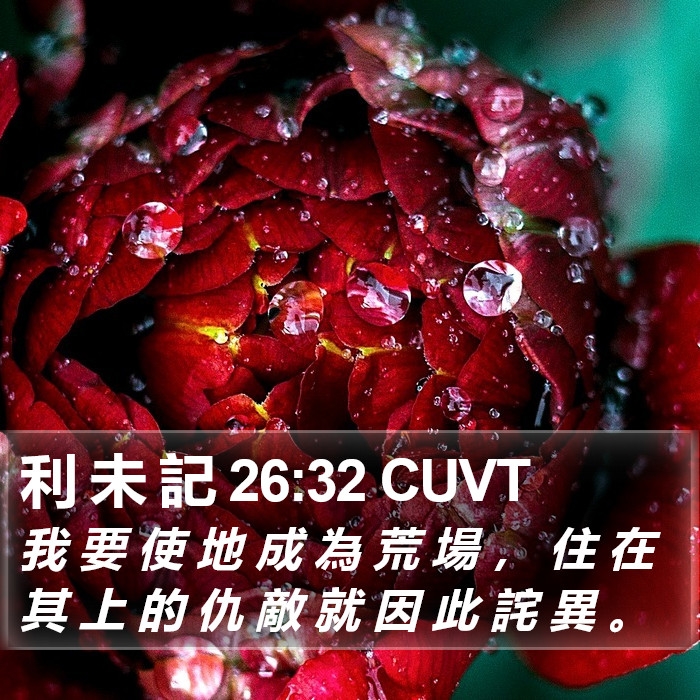 利 未 記 26:32 CUVT Bible Study