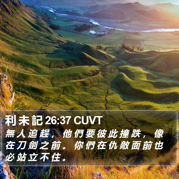 利 未 記 26:37 CUVT Bible Study