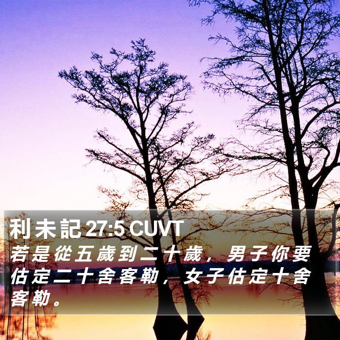 利 未 記 27:5 CUVT Bible Study