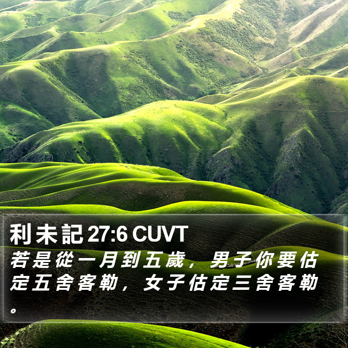 利 未 記 27:6 CUVT Bible Study