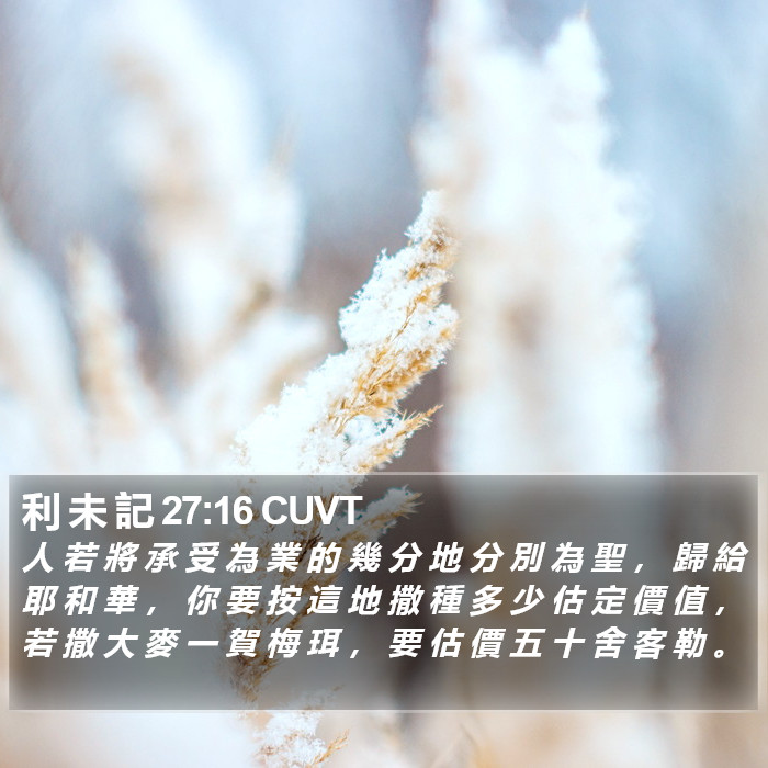 利 未 記 27:16 CUVT Bible Study