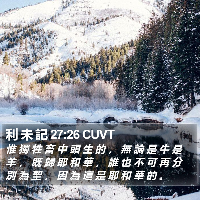 利 未 記 27:26 CUVT Bible Study