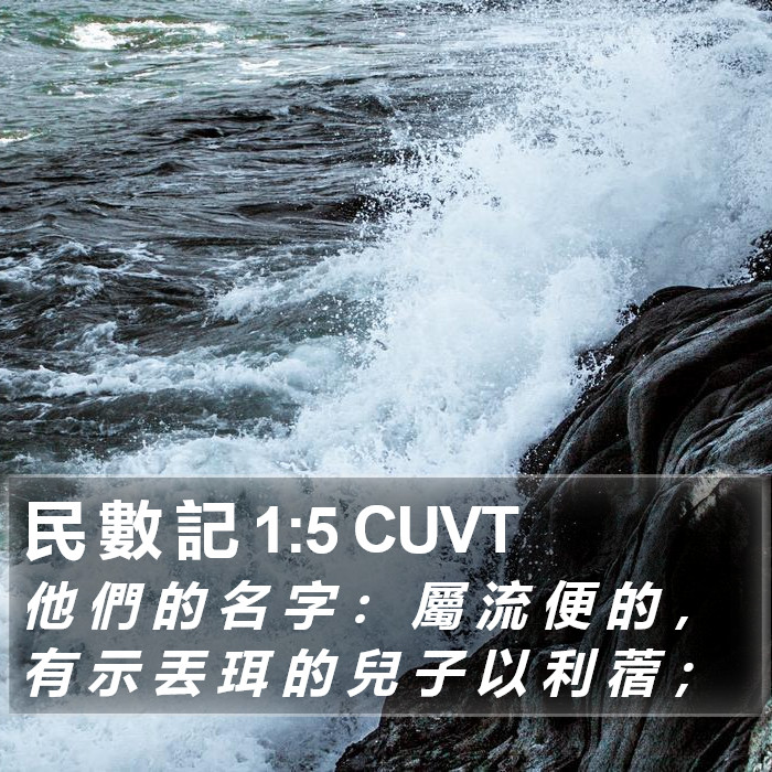 民 數 記 1:5 CUVT Bible Study